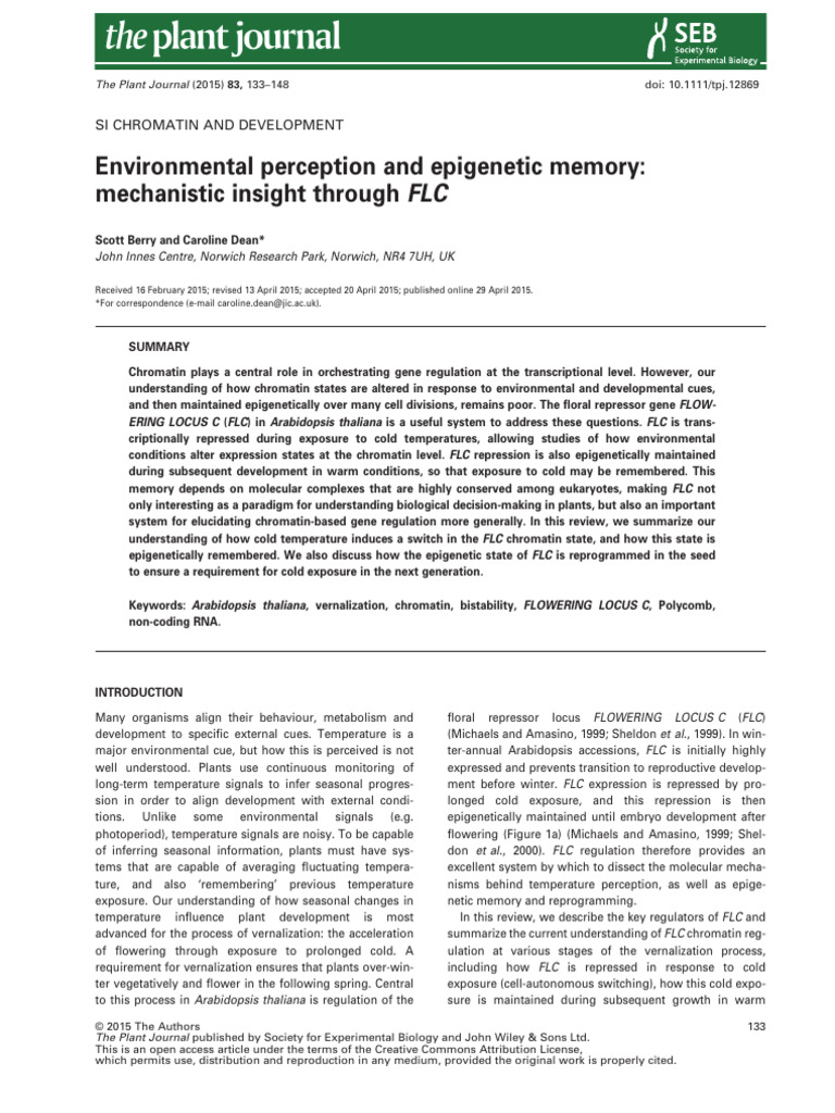Environmental Perception and Epigenetic Memory Mec | PDF | Histone ...