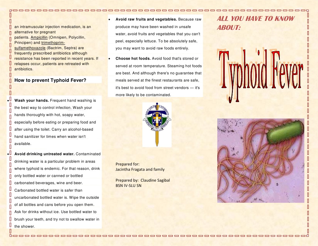Typhoid Fever Pamphlet | PDF | Antibiotics | Diseases And Disorders