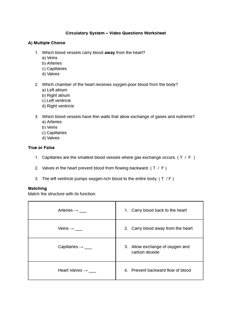 Circulatory System - Video Questions Worksheet | PDF