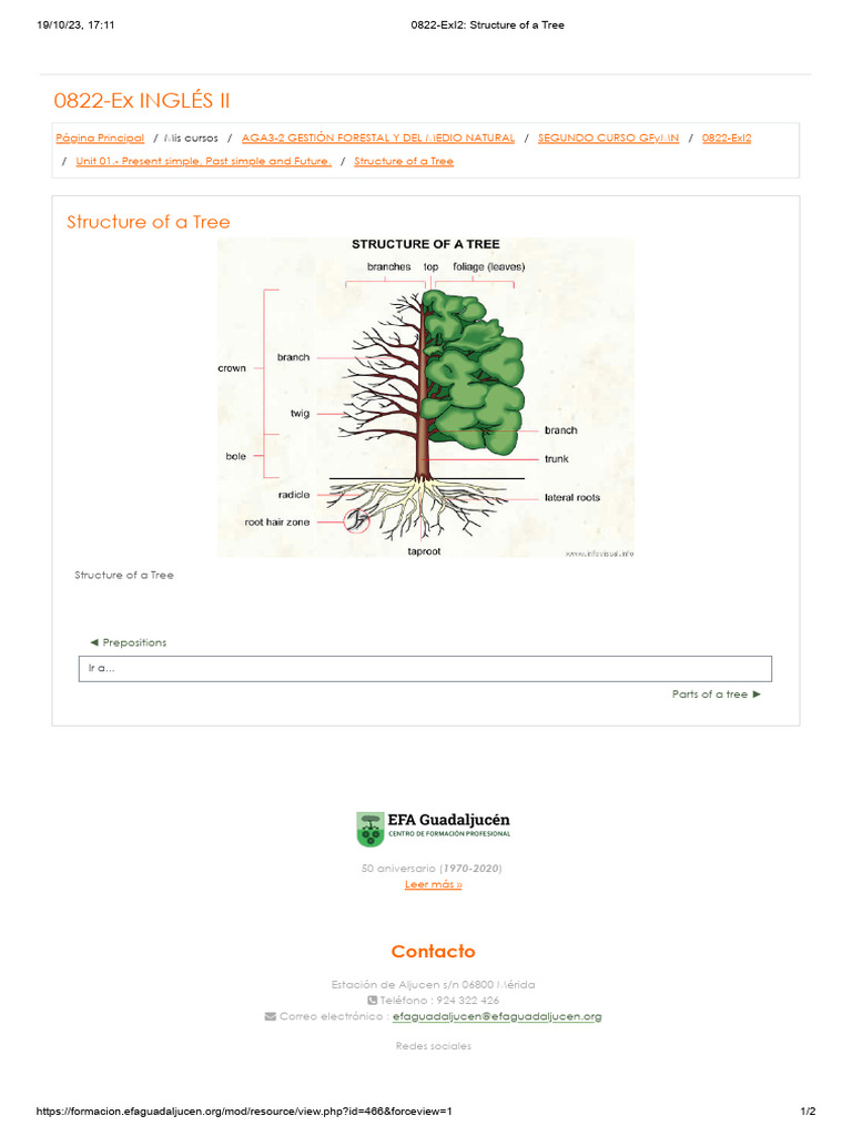 0822-ExI2 - Structure of A Tree | PDF