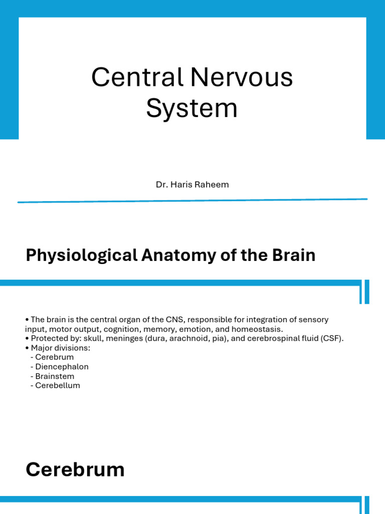 Physiological Anatomy of Brain | PDF | Cerebral Hemisphere | Cerebellum