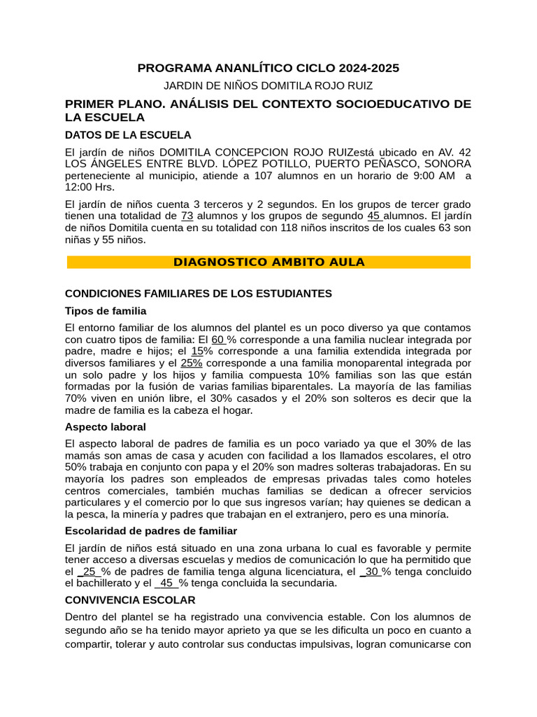 Plan Analitico Ciclo 2024-2025 | PDF | Enseñando | Evaluación