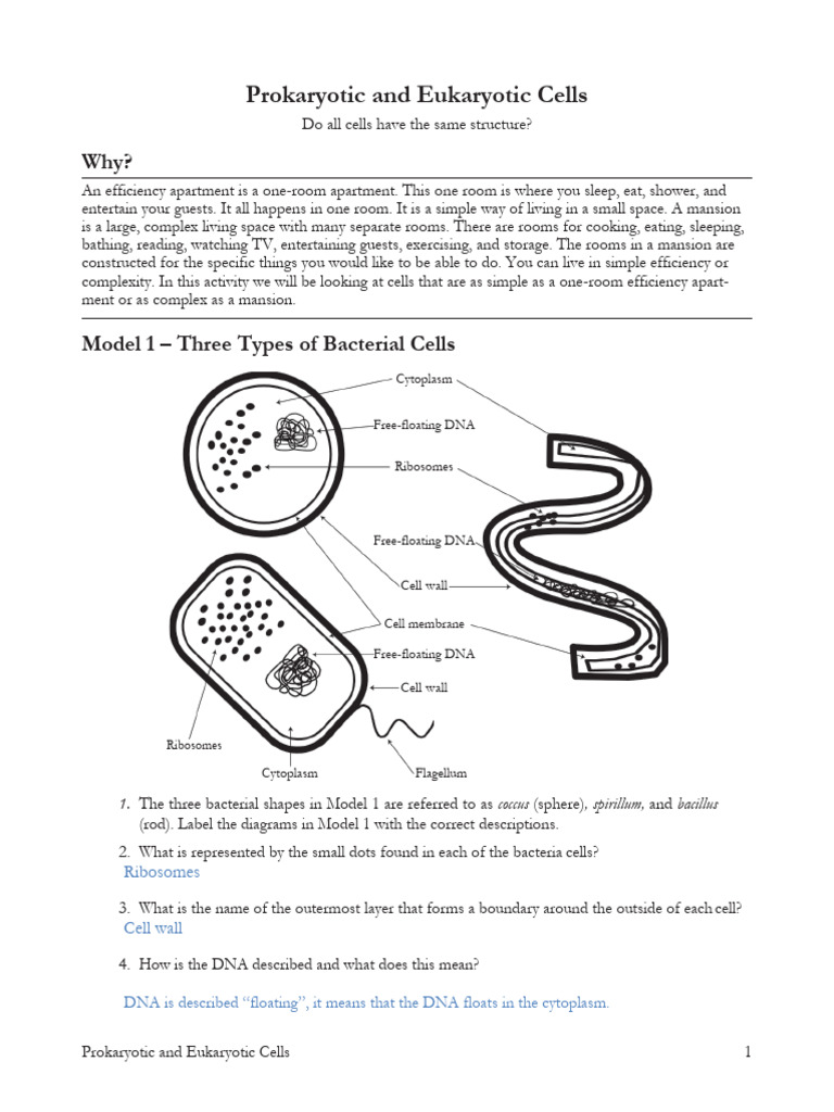 Prokaryote and Eukaryote Cells-S 2023 | PDF | Cell (Biology) | Prokaryote