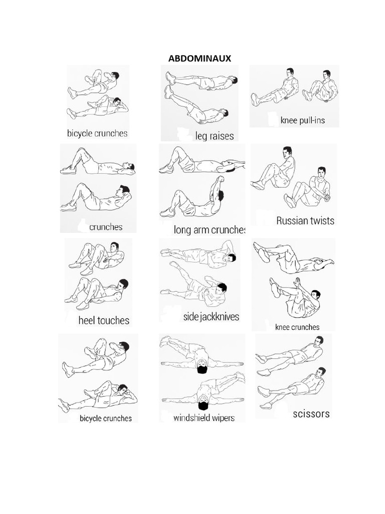 Musculation | PDF