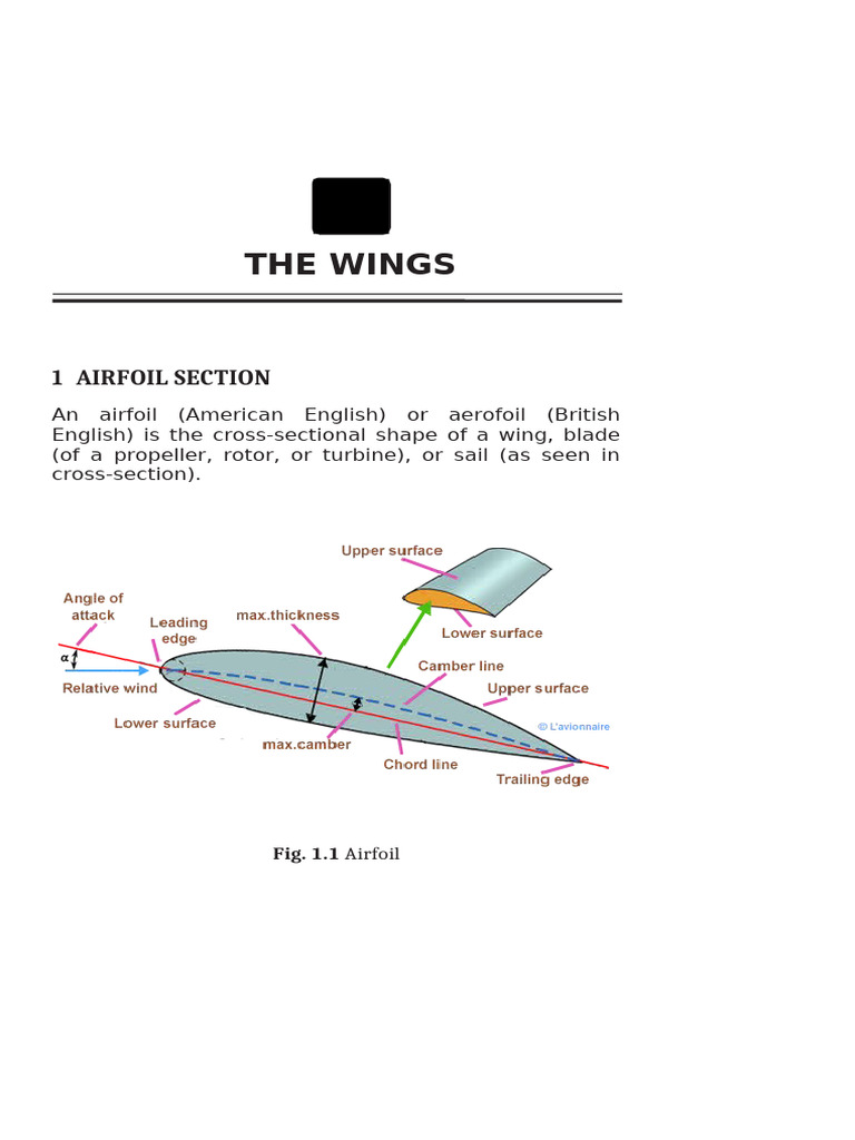 2 Wings | PDF | Monoplane | Empennage
