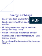 Thermodynamics