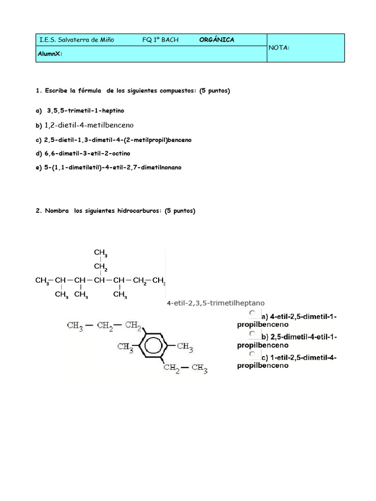 Ex 2 Orgánica Hidrocarburos Solucion | PDF