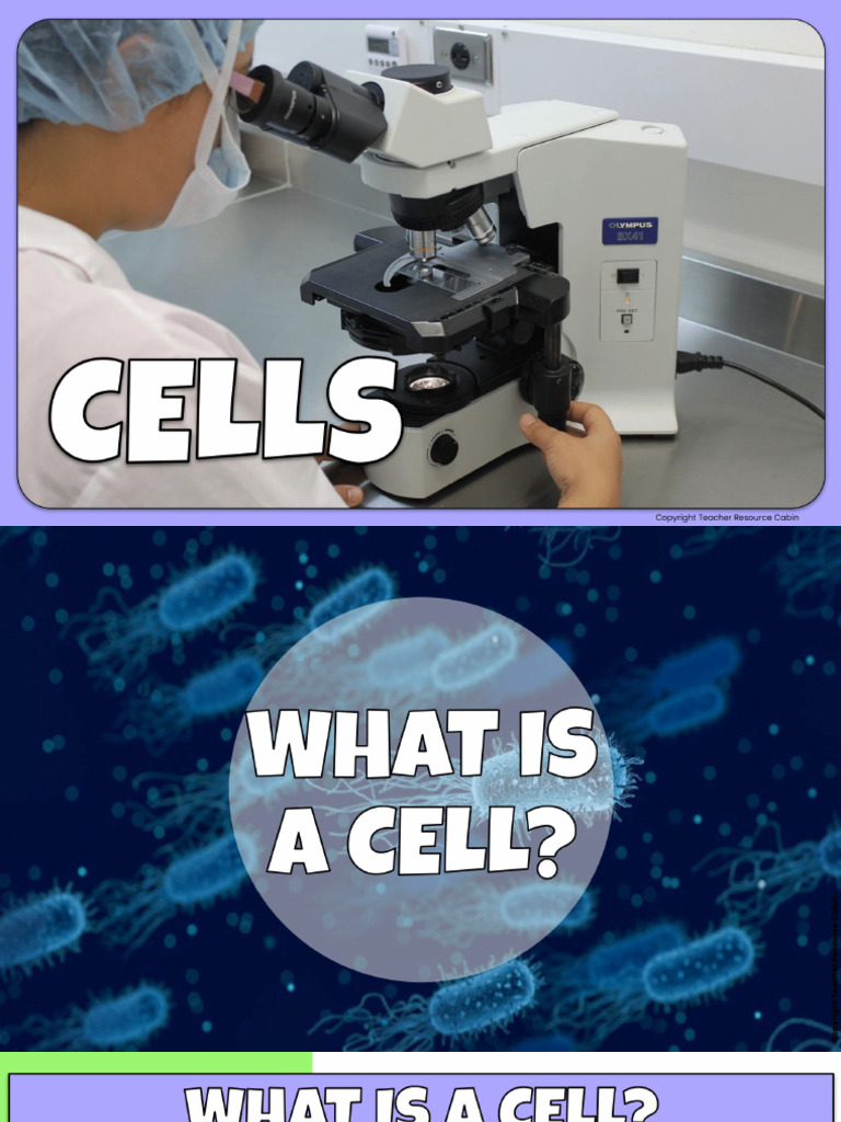 Cells Unit Slides | PDF