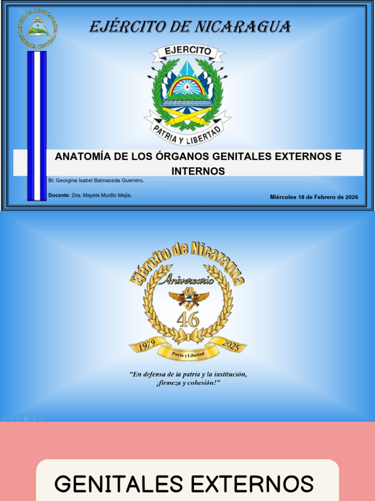 Anatomia de Los Órganos Genitales Internos y Externos - 20260217 ...