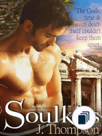 Soulmate Series