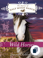 Horses of Half Moon Ranch