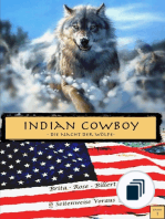 Indian Cowboy