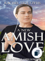Second Chance Amish Romance