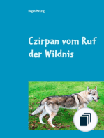 Czirpan vom Ruf der Wildnis