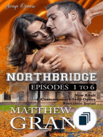 Northbridge by Matthew W. Grant