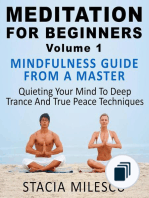 Meditation Guides
