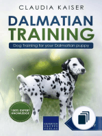 Dalmatian Training