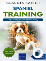 Spaniel Training