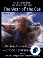 The Year of the Cat