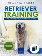 Golden Retriever Training