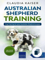 Australian Shepherd Training