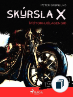 Skýrsla X