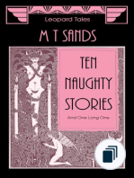 The Naughty Stories Series