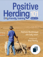 Positive Herding Dog
