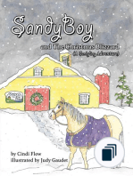 A SandyBoy Adventure