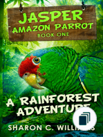 Jasper - Amazon Parrot