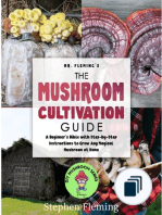 DIY Mushroom