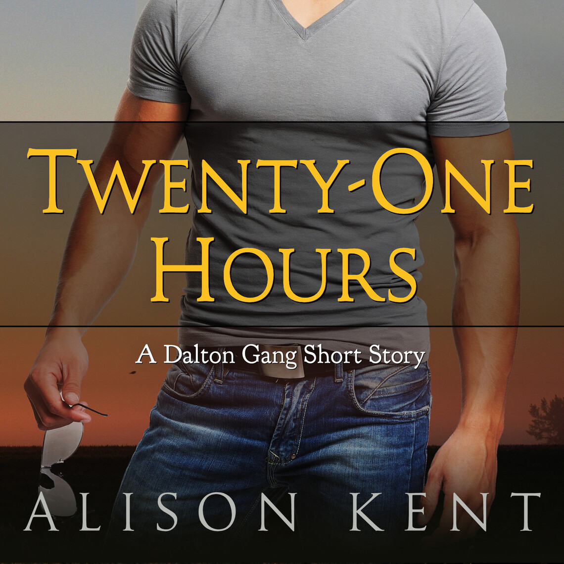 Dalton Gang Series by Alison Kent - audiobook | Everand