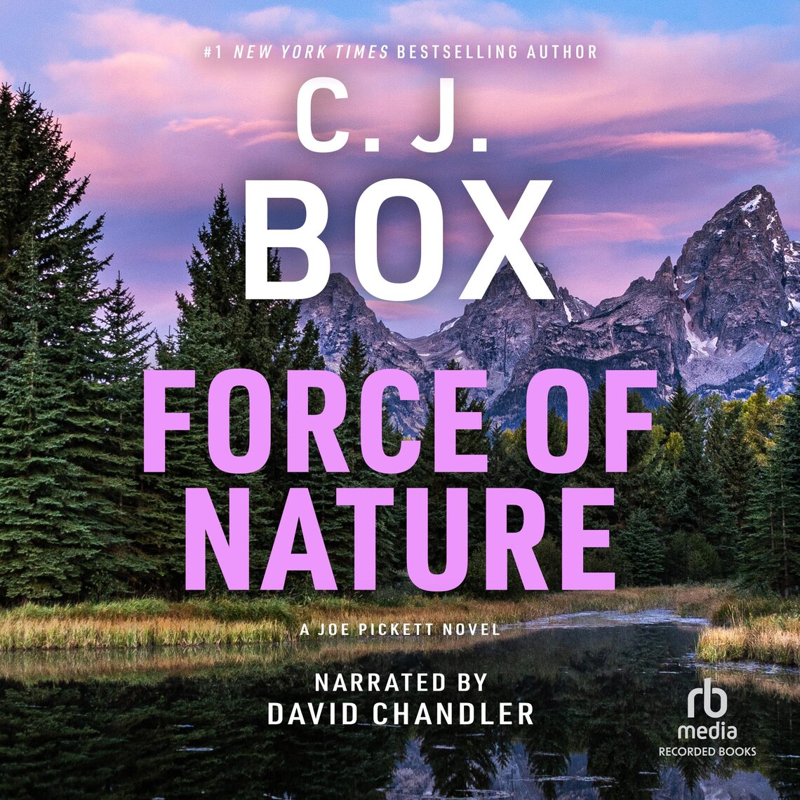 Joe Pickett Series by C. J. Box audiobook Everand