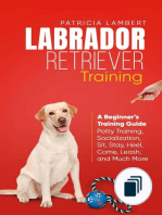 Smart Dog Training
