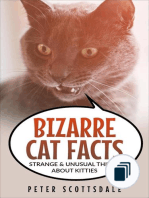 Our Bizarre Cats Series