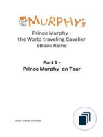 Prinz Murphy the World traveling Cavalier