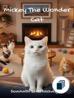 Mickey The Wonder Cat