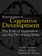 Neuroscience of Cognitive Development: The Role of Experience and the Developing Brain