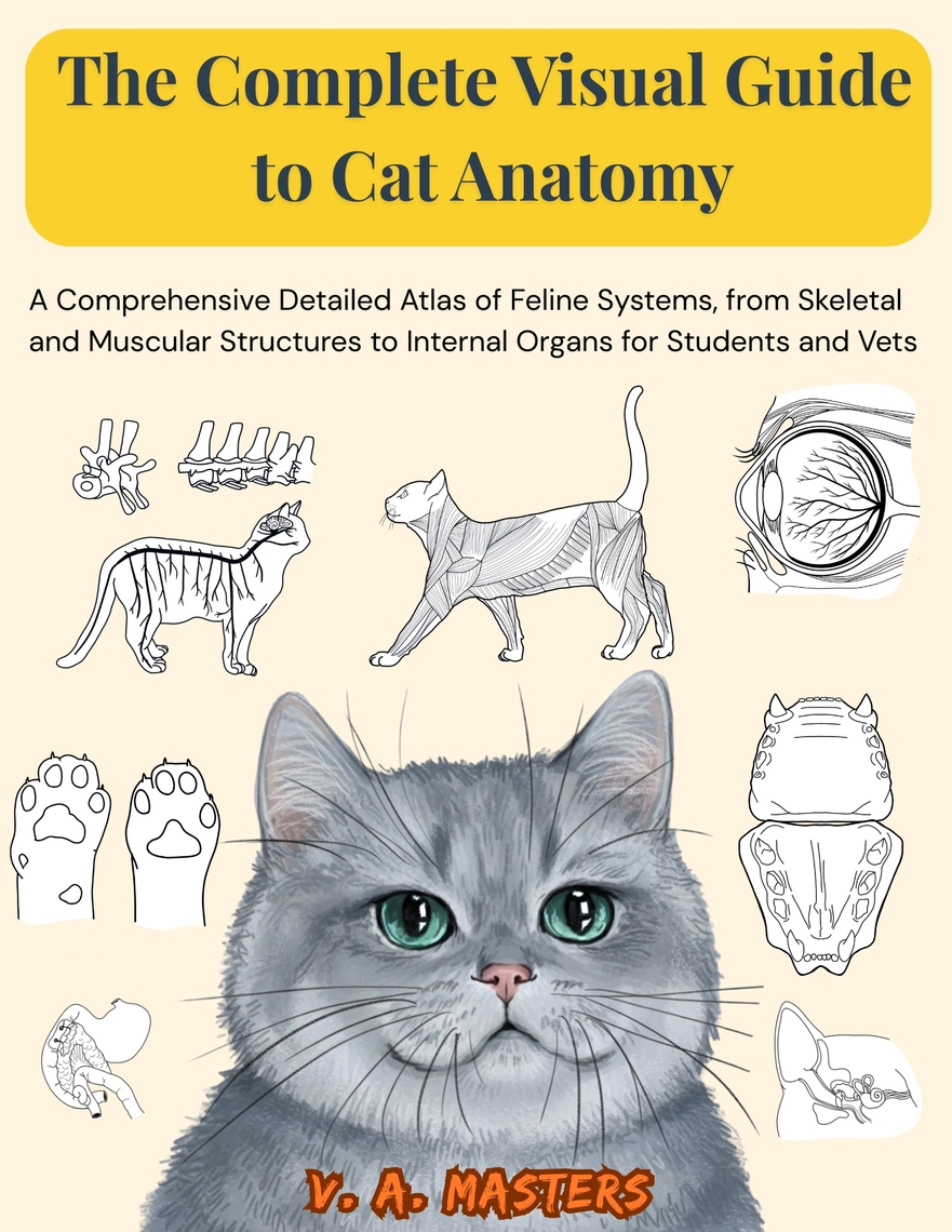 The Complete Visual Guide to Cat Anatomy by V. A. Masters, V. A ...