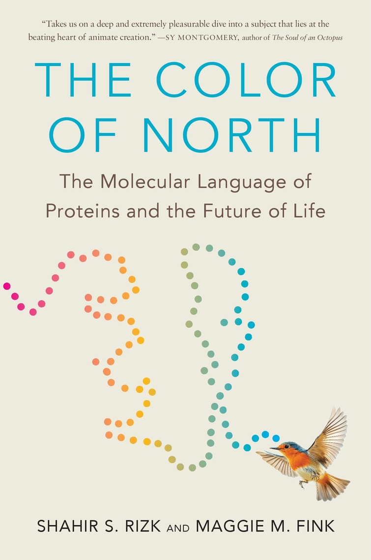 The Color of North by Shahir S. Rizk, Maggie M. Fink (Ebook) - Read ...