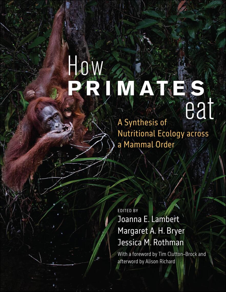 How Primates Eat by Joanna E. Lambert, Margaret A. H. Bryer, Jessica M ...