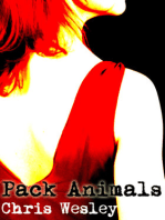 Pack Animals