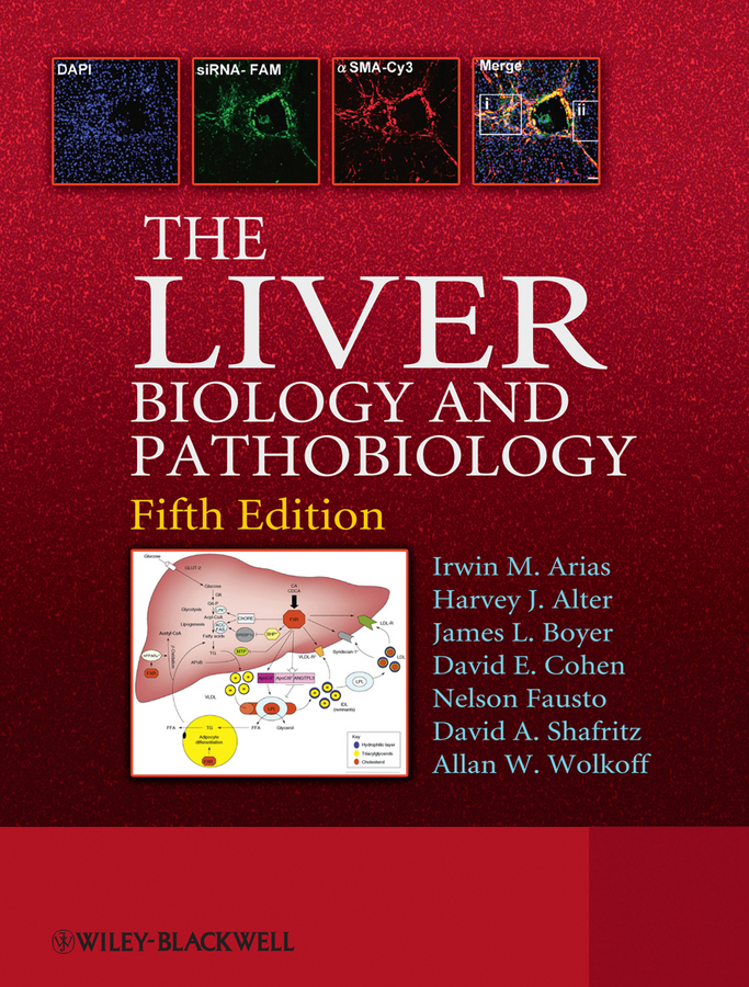 The Liver by Irwin M. Arias, Allan W. Wolkoff, James L. Boyer