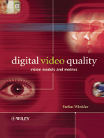 Digital Video Quality: Vision Models and Metrics