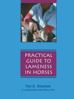 Practical Guide to Lameness in Horses