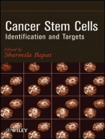 Cancer Stem Cells: Identification and Targets
