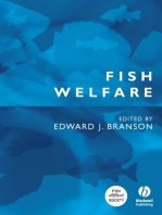 Fish Welfare
