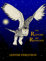 The Raptors of Redwood
