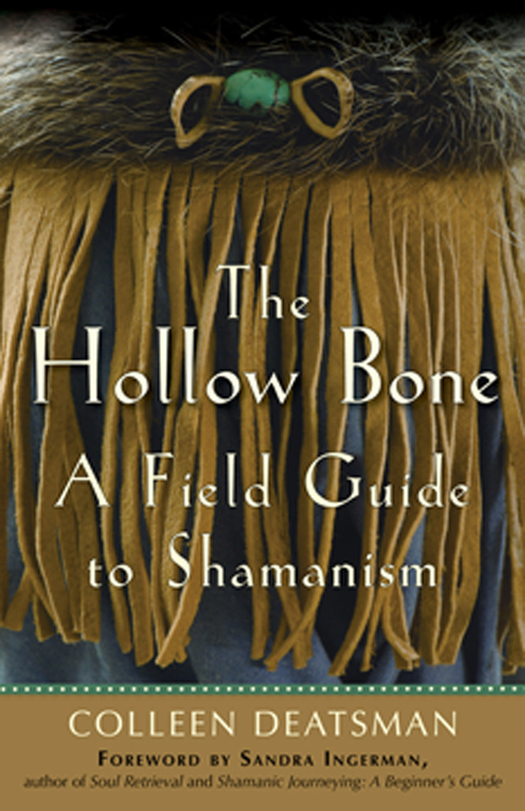Read The Hollow Bone Online by Colleen Deatsman and Sandra Ingerman Books