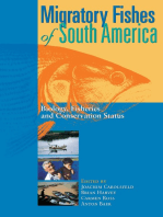 Migratory Fishes of South America